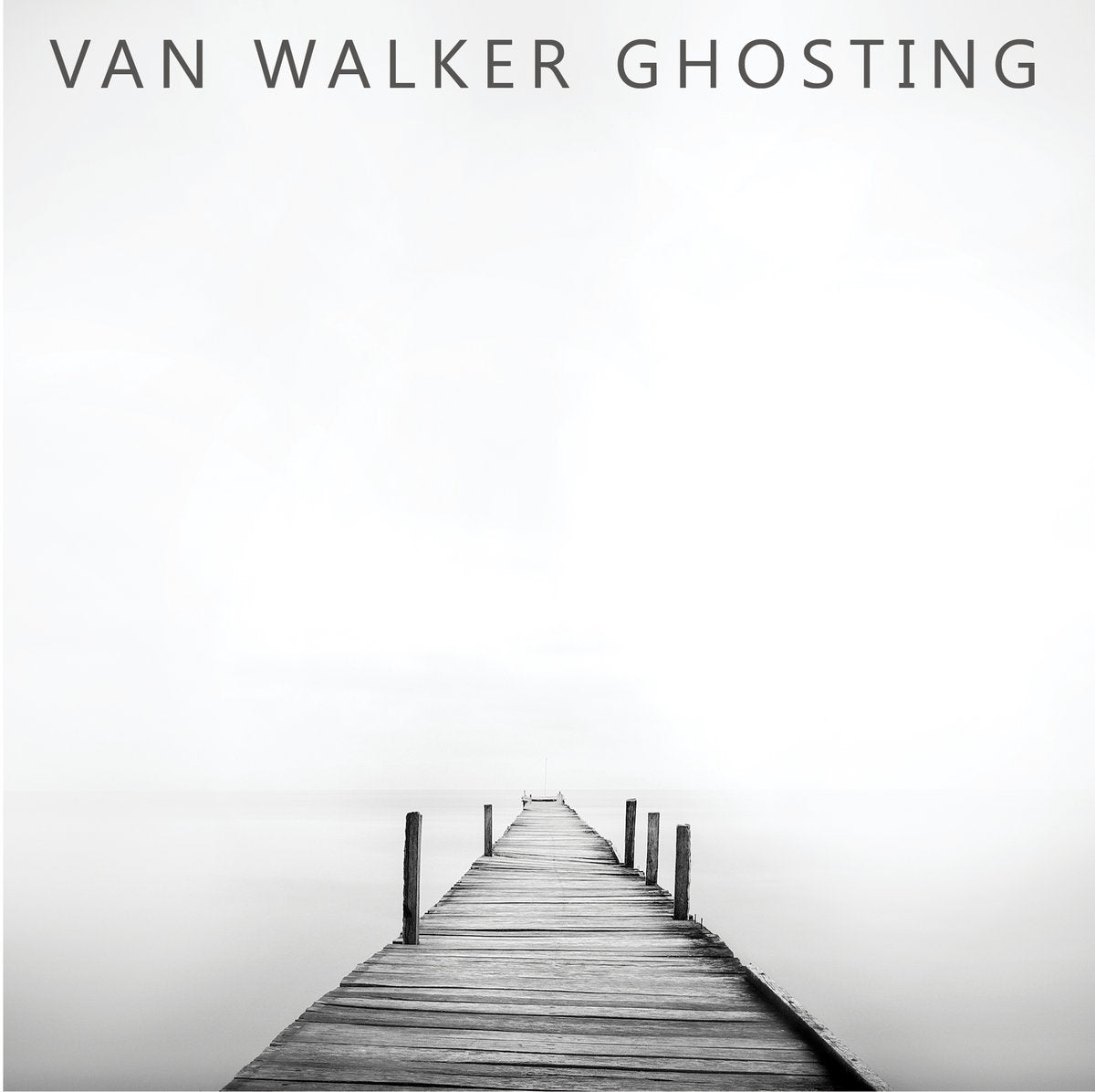 VAN WALKER - GHOSTING CD