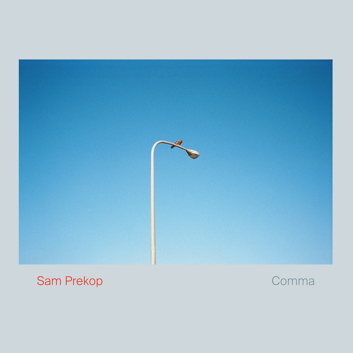 SAM PREKOP - COMMA VINYL