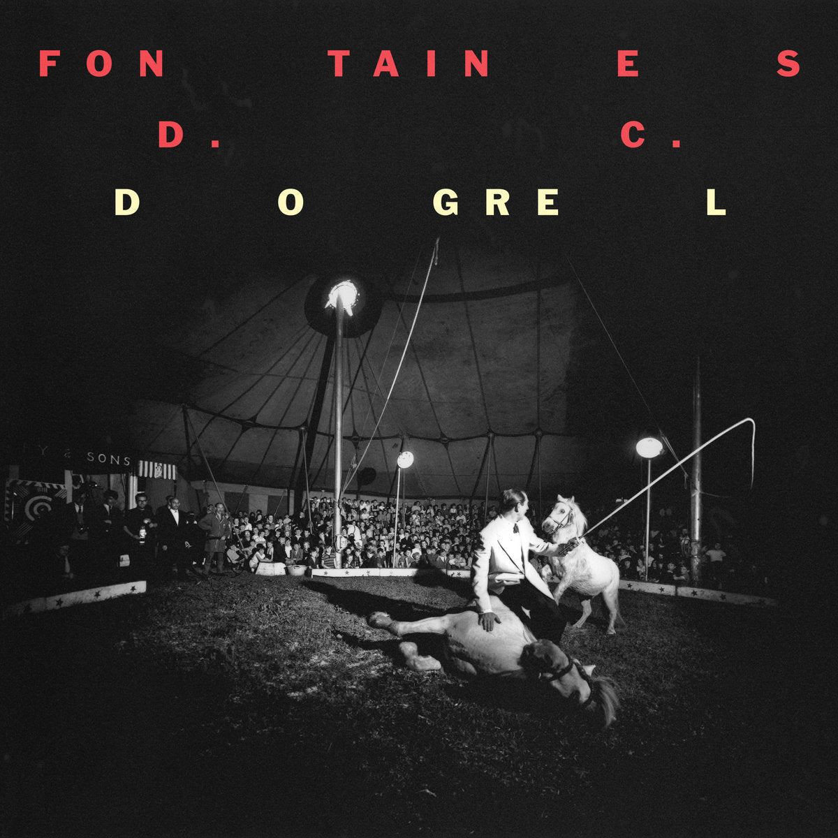 FONTAINES D.C. - DOGREL VINYL