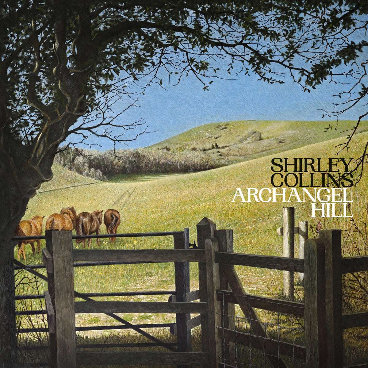 SHIRLEY COLLINS - ARCHANGEL HILL VINYL