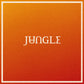 JUNGLE - VOLCANO VINYL