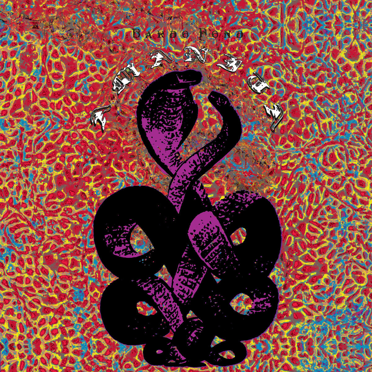 BARDO POND - AMANITA (PURPLE VINYL)