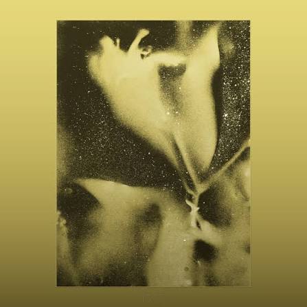 FLYING LOTUS - 1983 VINYL