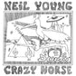NEIL YOUNG - DUME (2LP) VINYL