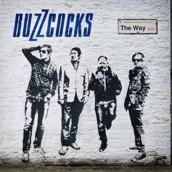 BUZZCOCKS - THE WAY (COLOURED) (2LP) VINYL