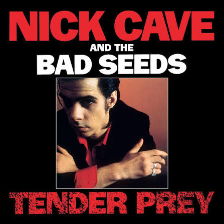 NICK CAVE AND THE BAD SEEDS - TENDER PREY VINYL