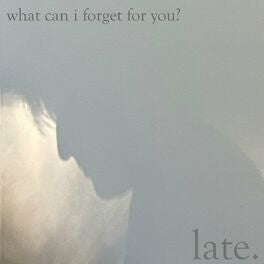 LATE - WHAT CAN I FORGET FOR YOU VINYL