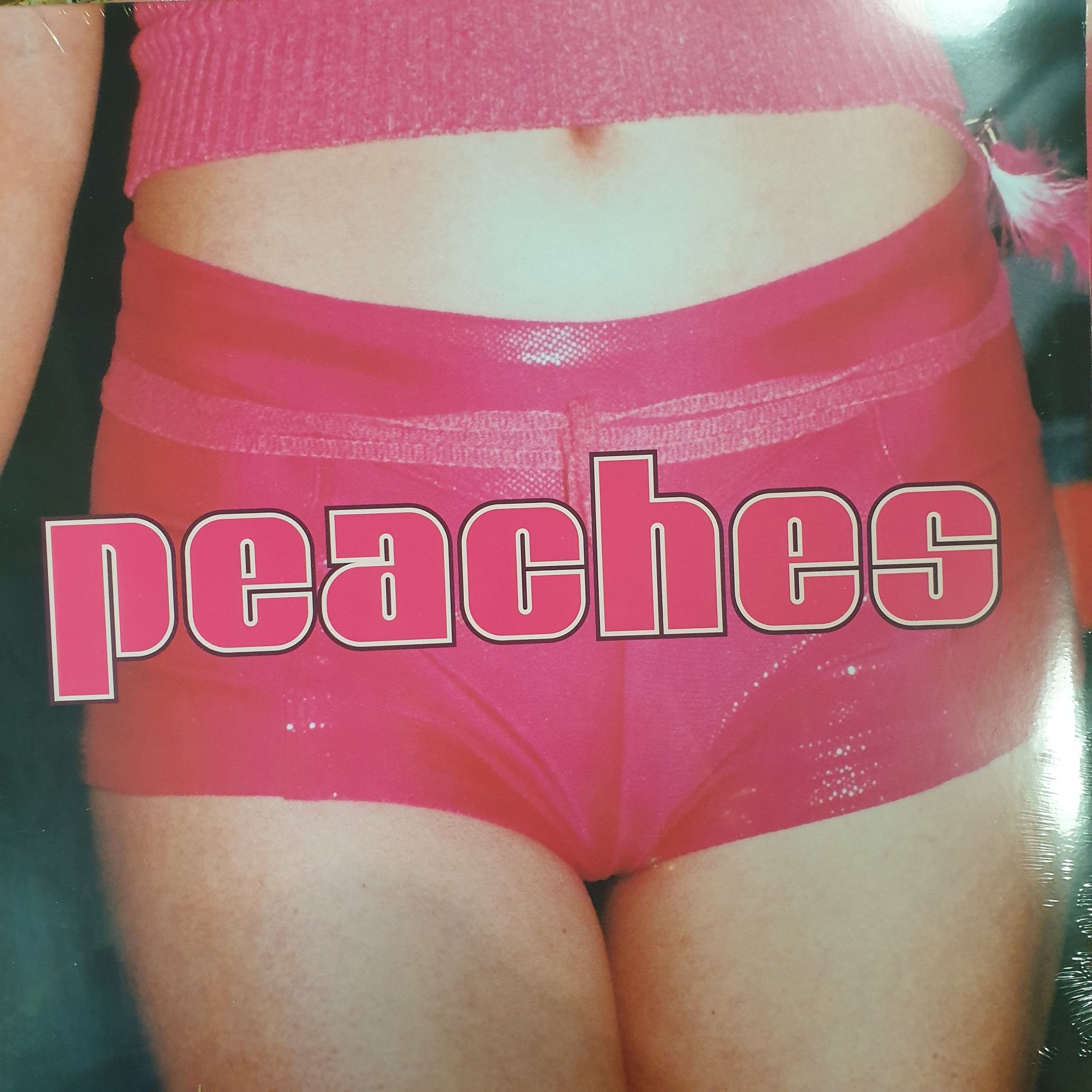 PEACHES - THE TEACHES OF PEACHES VINYL