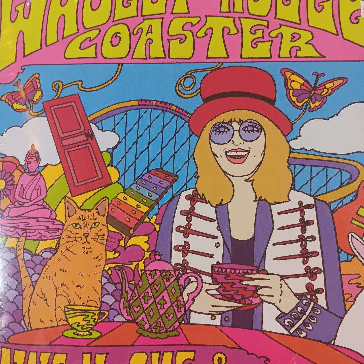 ANNE MCHUE AND THE CUBISTS - WHOLLY ROLLER COASTER VINYL