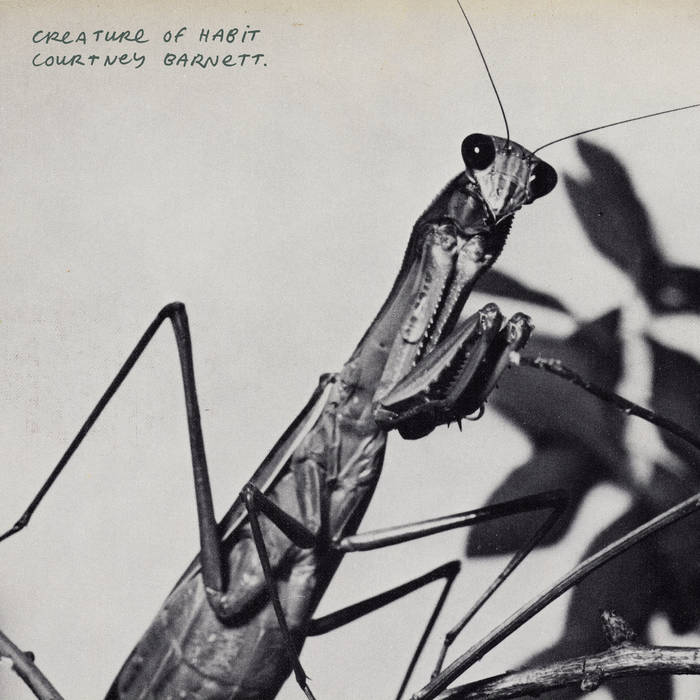 COURTNEY BARNETT - CREATURE OF HABIT VINYL