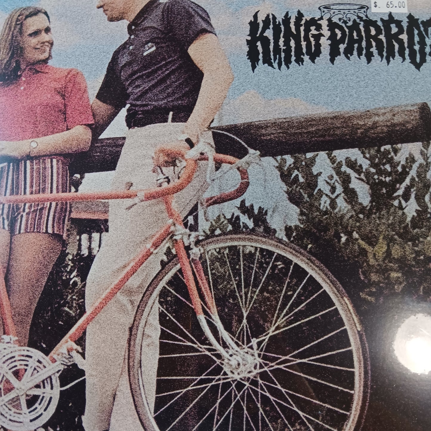 KING PARROT - A YOUNG PERSONS GUIDE TO VINYL