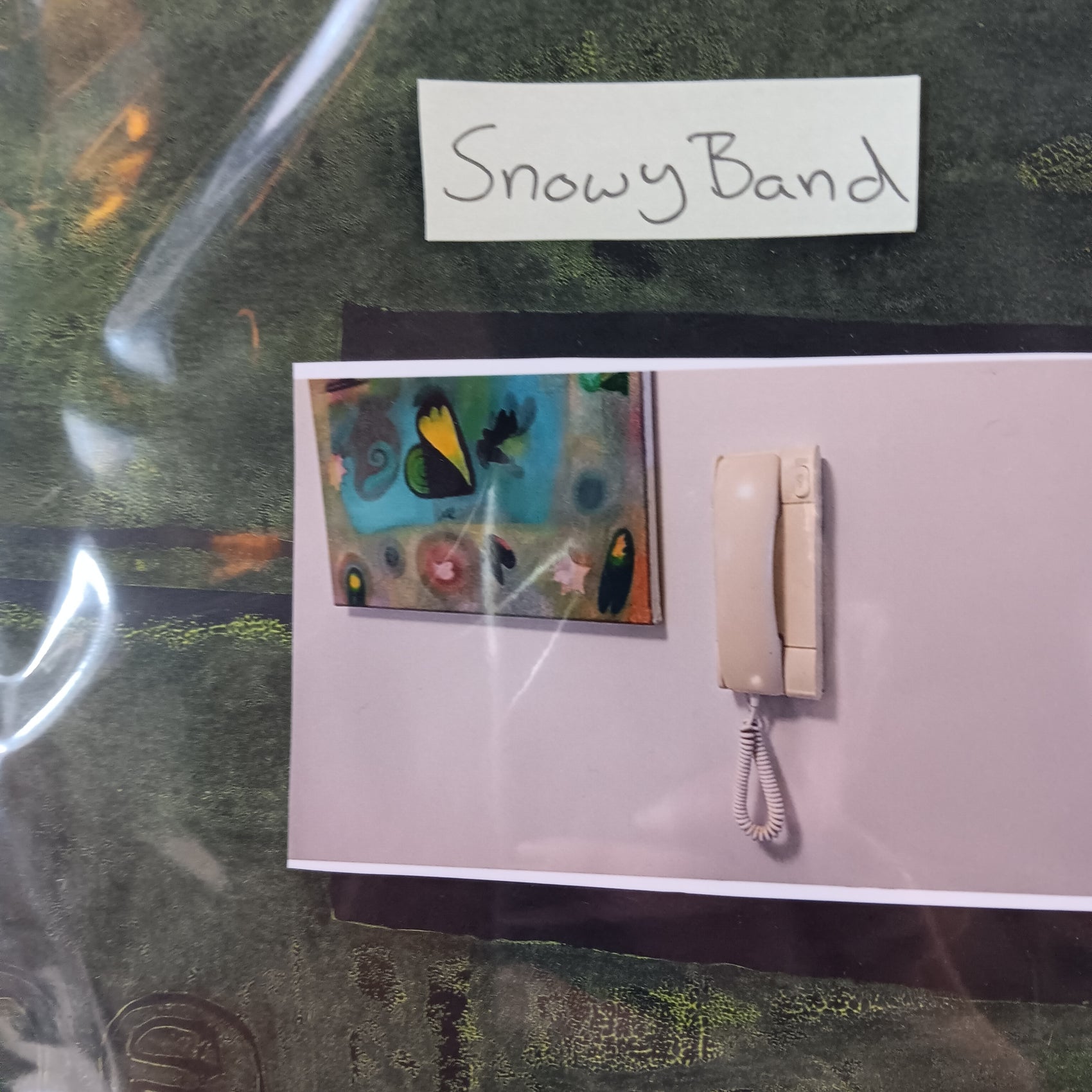 SNOWY BAND - THE APARTMENT VINYL