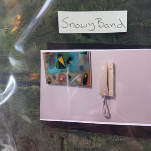 SNOWY BAND - THE APARTMENT VINYL