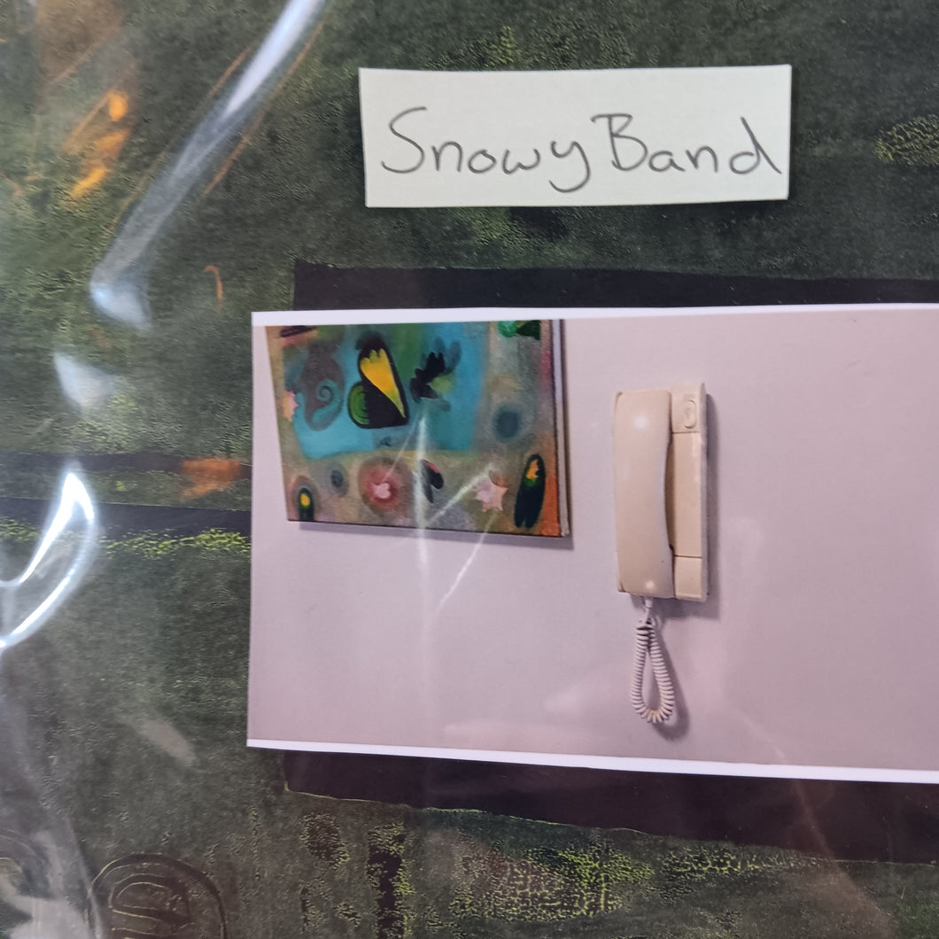 SNOWY BAND - THE APARTMENT VINYL