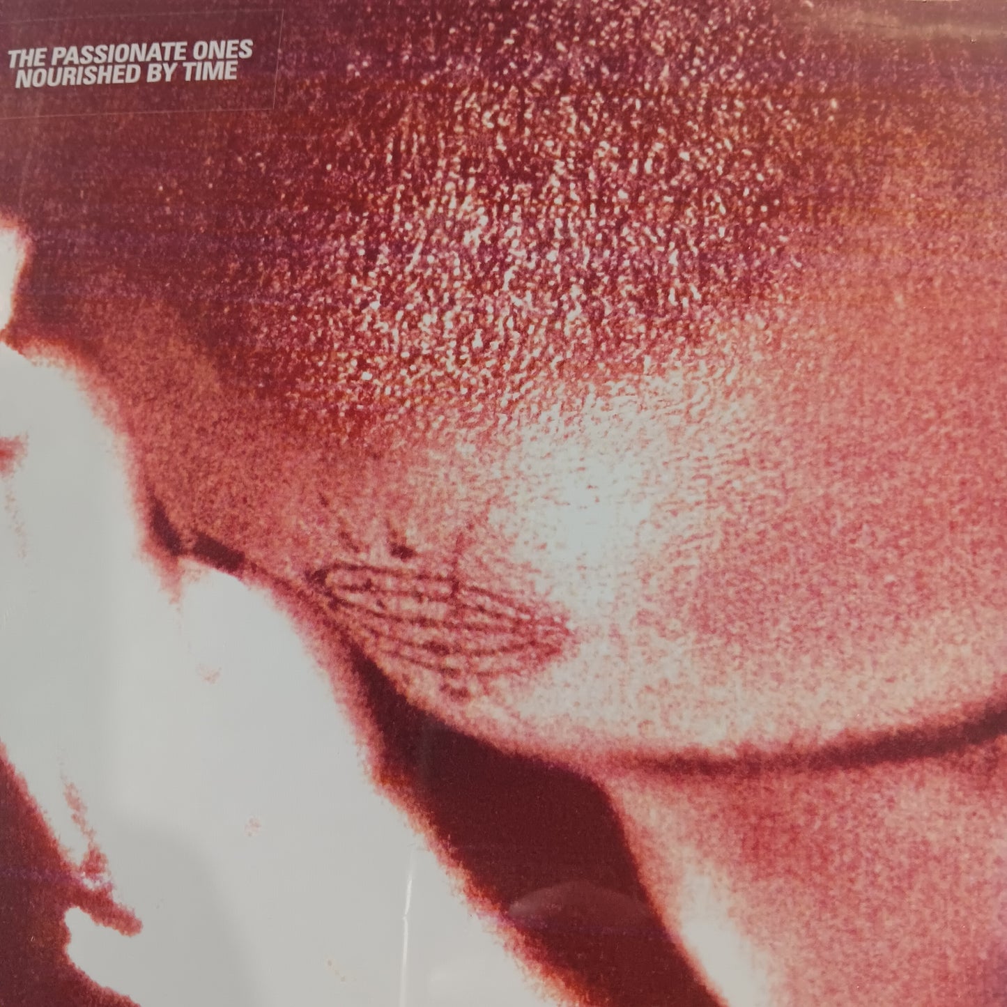 NOURISHED BY TIME - PASSIONATE ONES VINYL