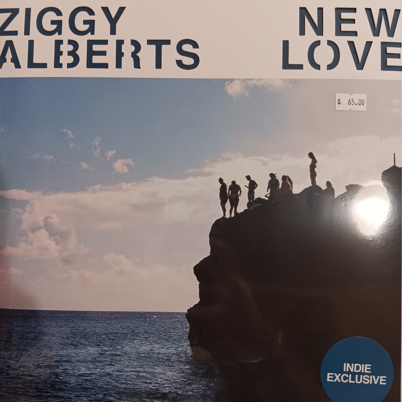 ZIGGY ALBERTS - NEW LOVE (INDIE EXCLUSIVE) (2LP) VINYL