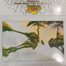 Load image into Gallery viewer, YES - PROGENY: SEVEN SHOWS FROM SEVENTY-TWO (21 LP BOX SET)
