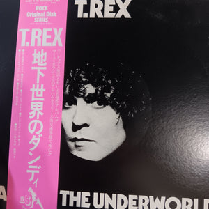 T.REX - DANDY AND THE UNDERWORLD (USED VINYL 1983 JAPANESE M-/M-)