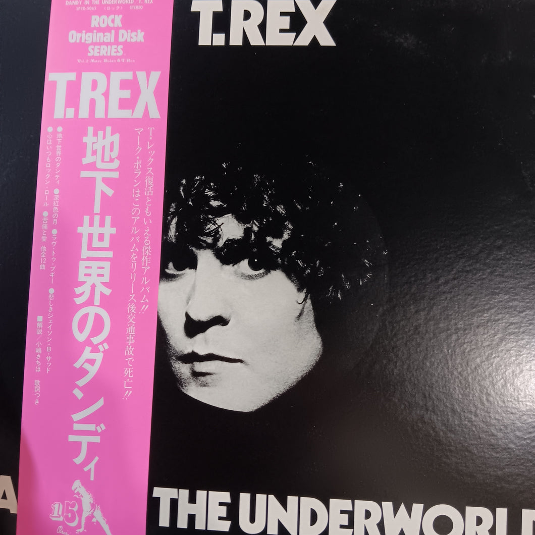 T.REX - DANDY AND THE UNDERWORLD (USED VINYL 1983 JAPANESE M-/M-)