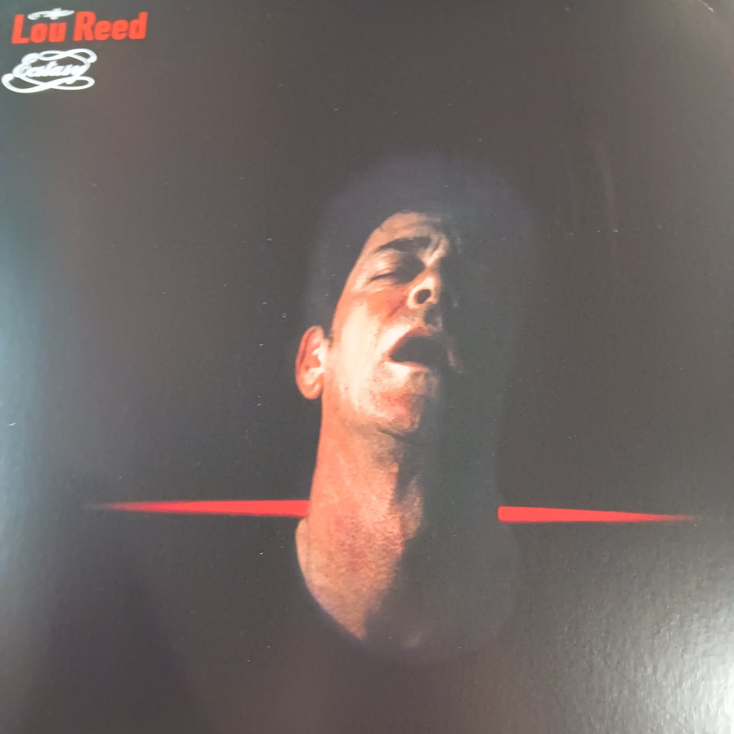LOU REED - ECSTACY (2LP) (USED 2019 EURO M-/M-)