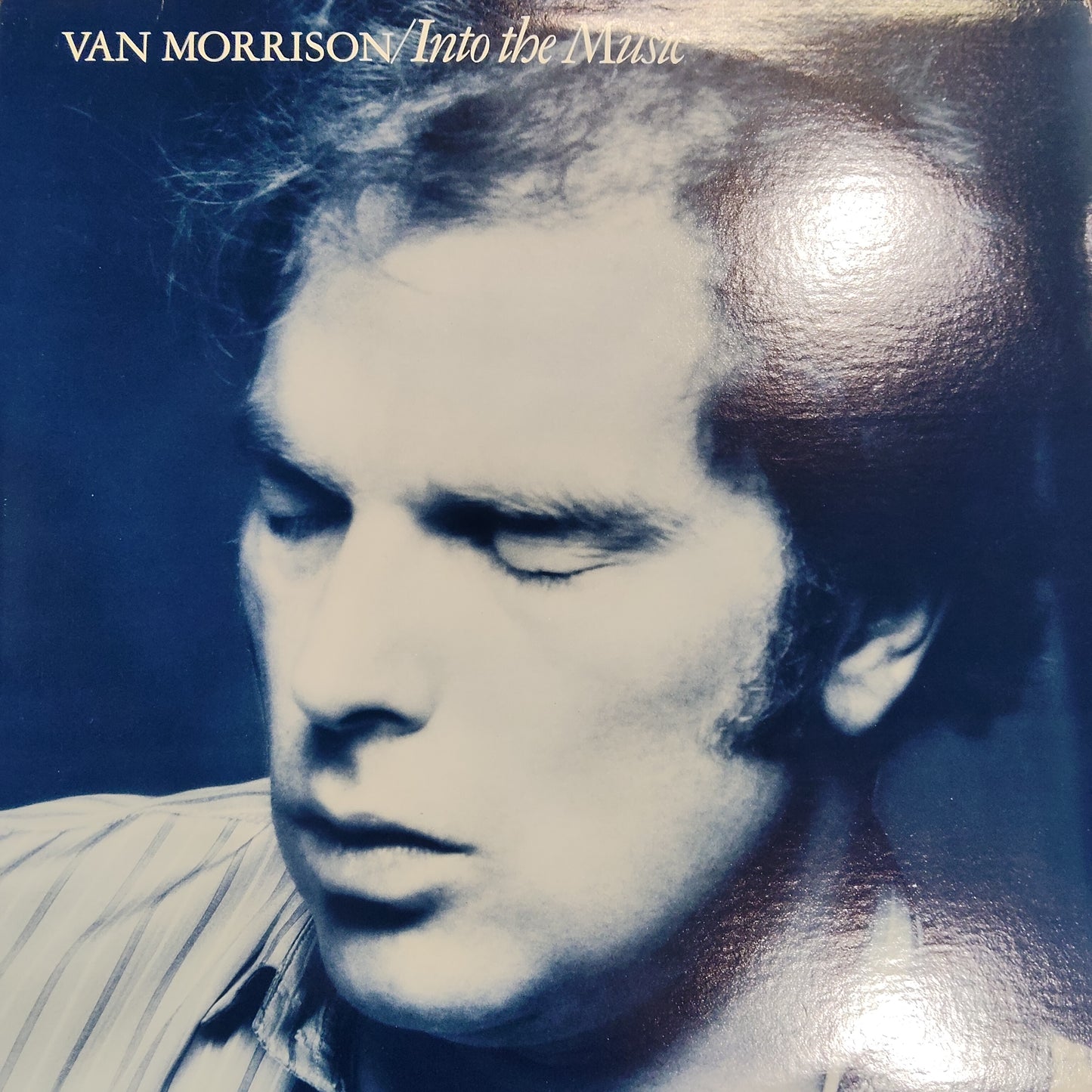 VAN MORRISON - INTO THE MUSIC (USED VINYL 1979 U.S. M- M-)