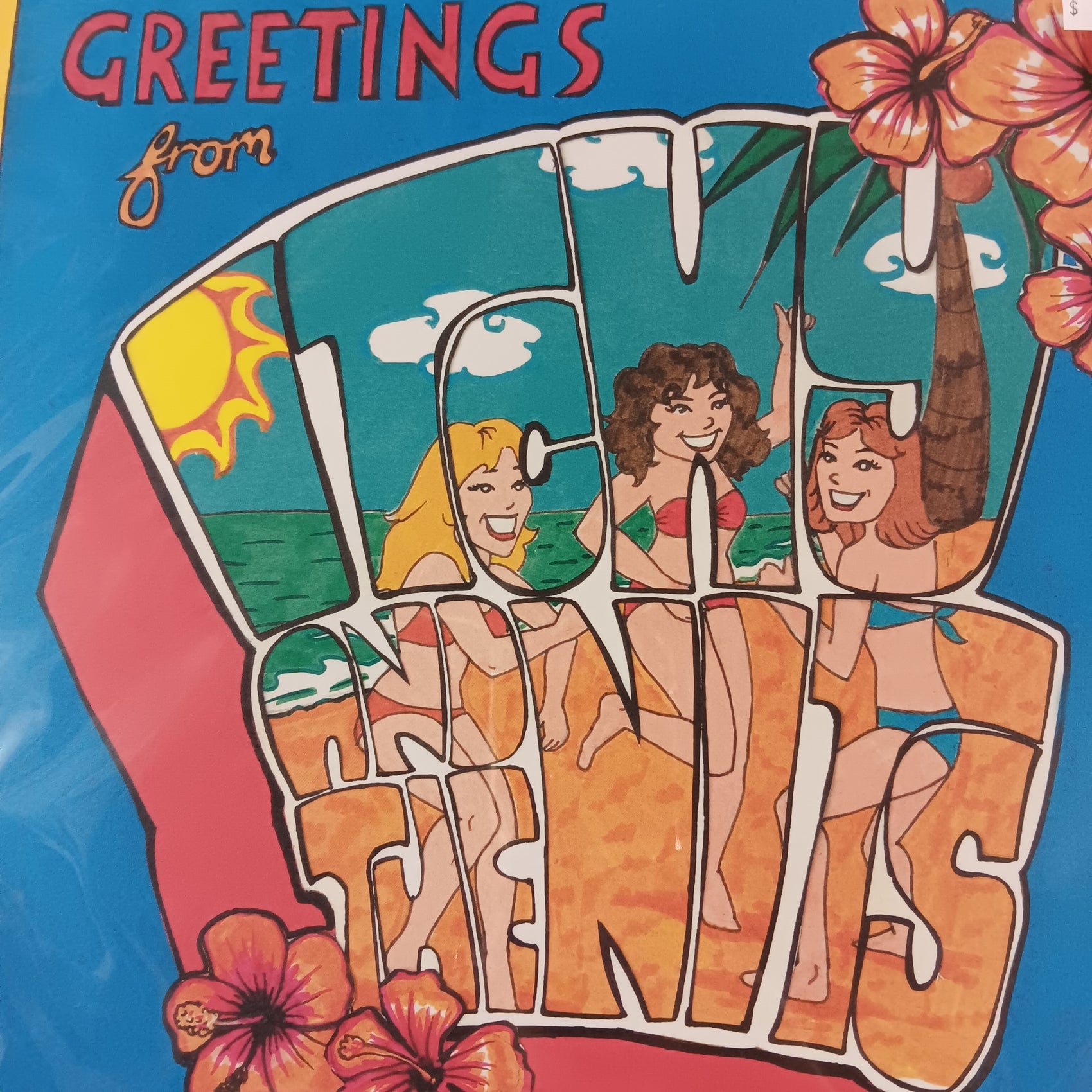ITCHY AND THE NITS - GREETINGS FROM VINYL