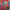 TALKING HEADS - MORE SONGS ABOUT BUILDINGS AND FOOD (2LP) VINYL