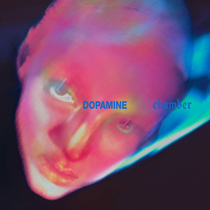FONTAINES D.C. - DOPAMINE CHAMBER VINYL