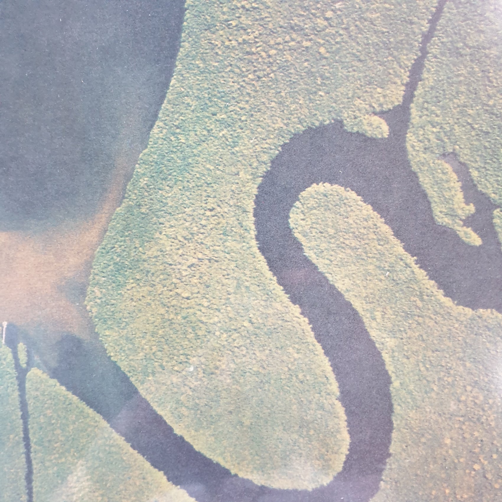 DEAD CAN DANCE - THE SERPENTS EGG VINYL