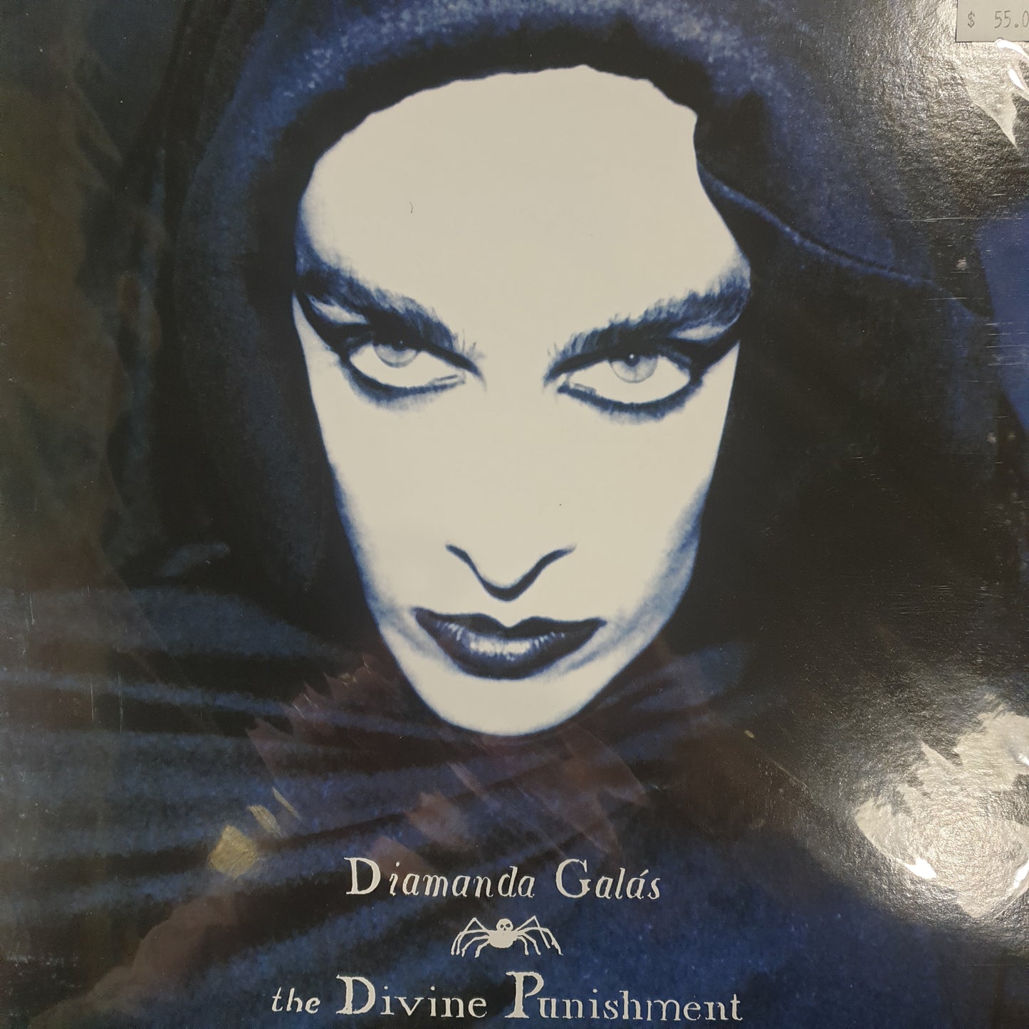 DIAMANDA GALAS - DIVINE PUNISHMENT VINYL
