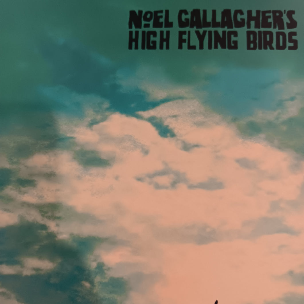 NOEL GALLAGHERS HIGH FLYING BIRDS - WHO BUILT THE MOON (USED VINYL 2017 UK/EURO M-/M-)