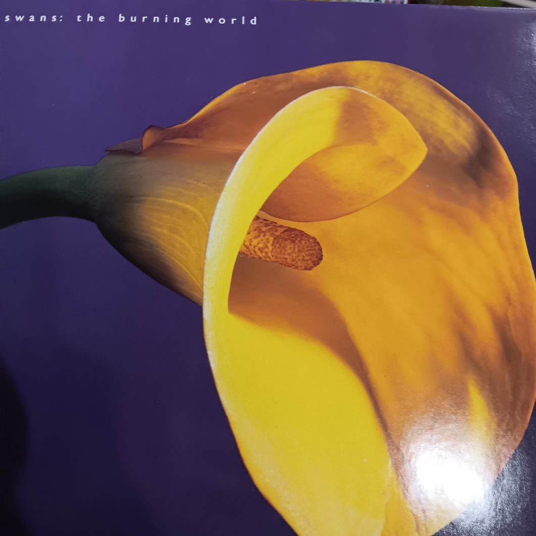 SWANS - THE BURNING WORLD (USED VINYL 1989 GERMAN M- M-)
