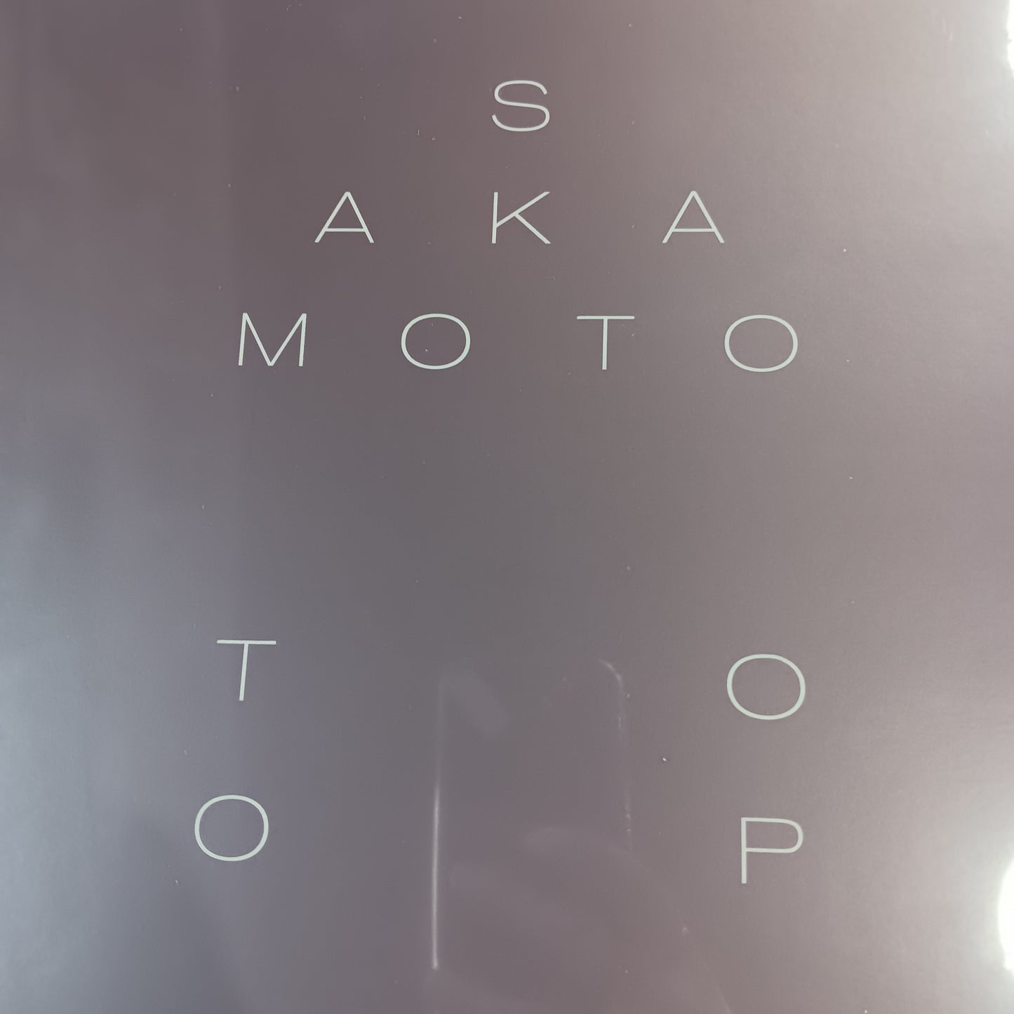 RYUICHI SAKAMOTO - GARDEN OF SHADOWS AND LIGHT VINYL