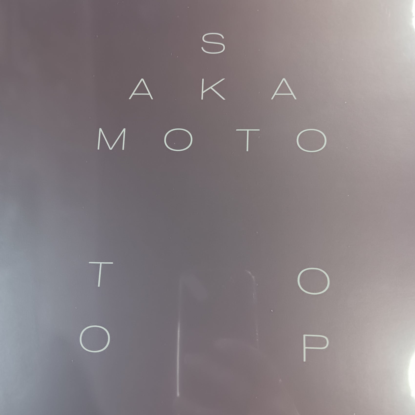 RYUICHI SAKAMOTO - GARDEN OF SHADOWS AND LIGHT VINYL