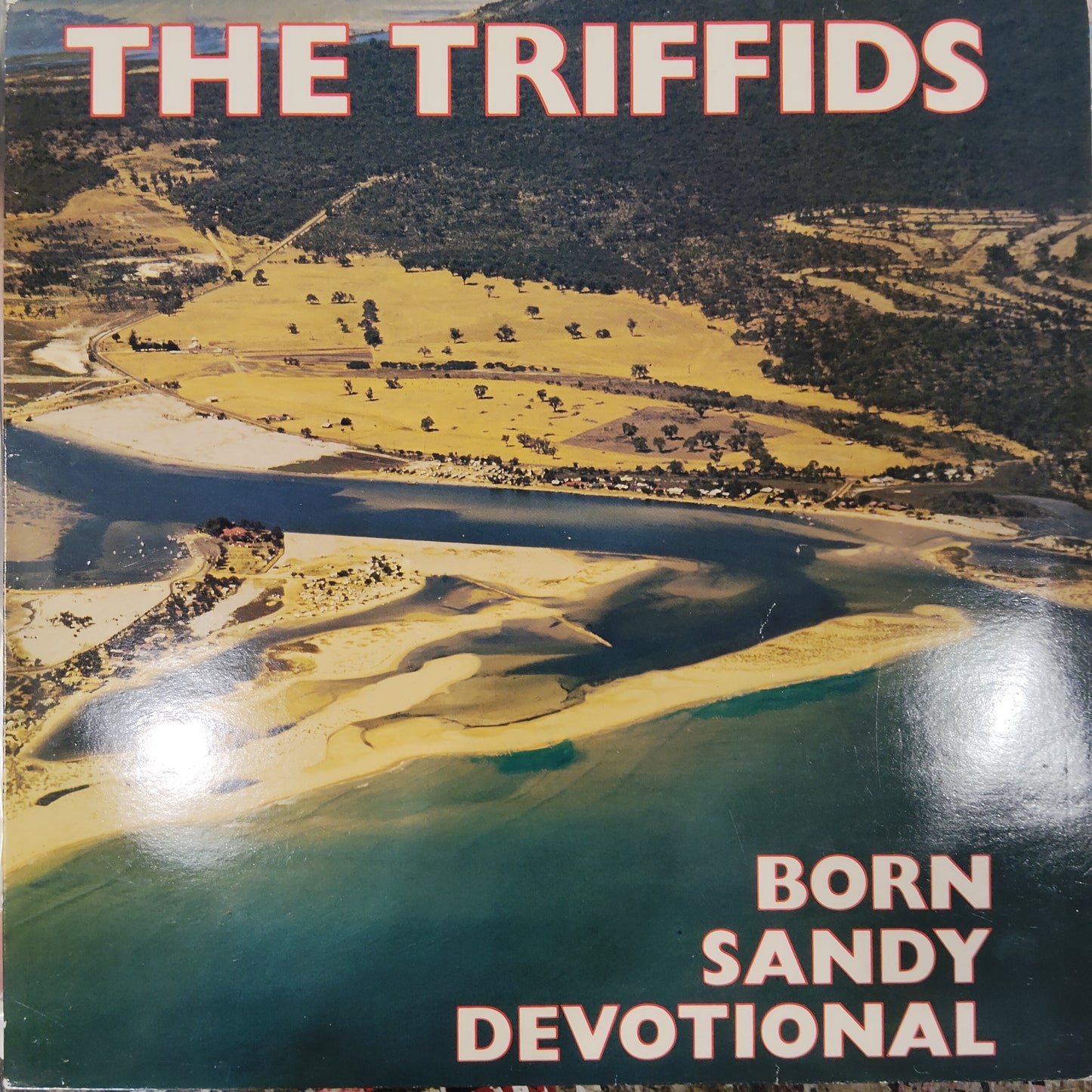 TRIFFIDS - BORN SANDY DEVOTIONAL (USED VINYL 1988 U.K. M- EX)