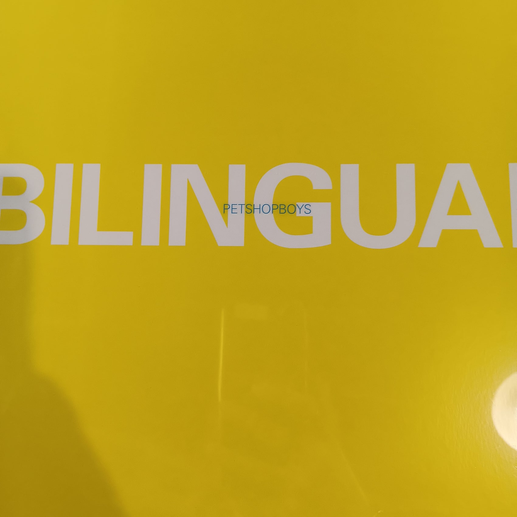 PET SHOP BOYS - BILIMGUAL VINYL