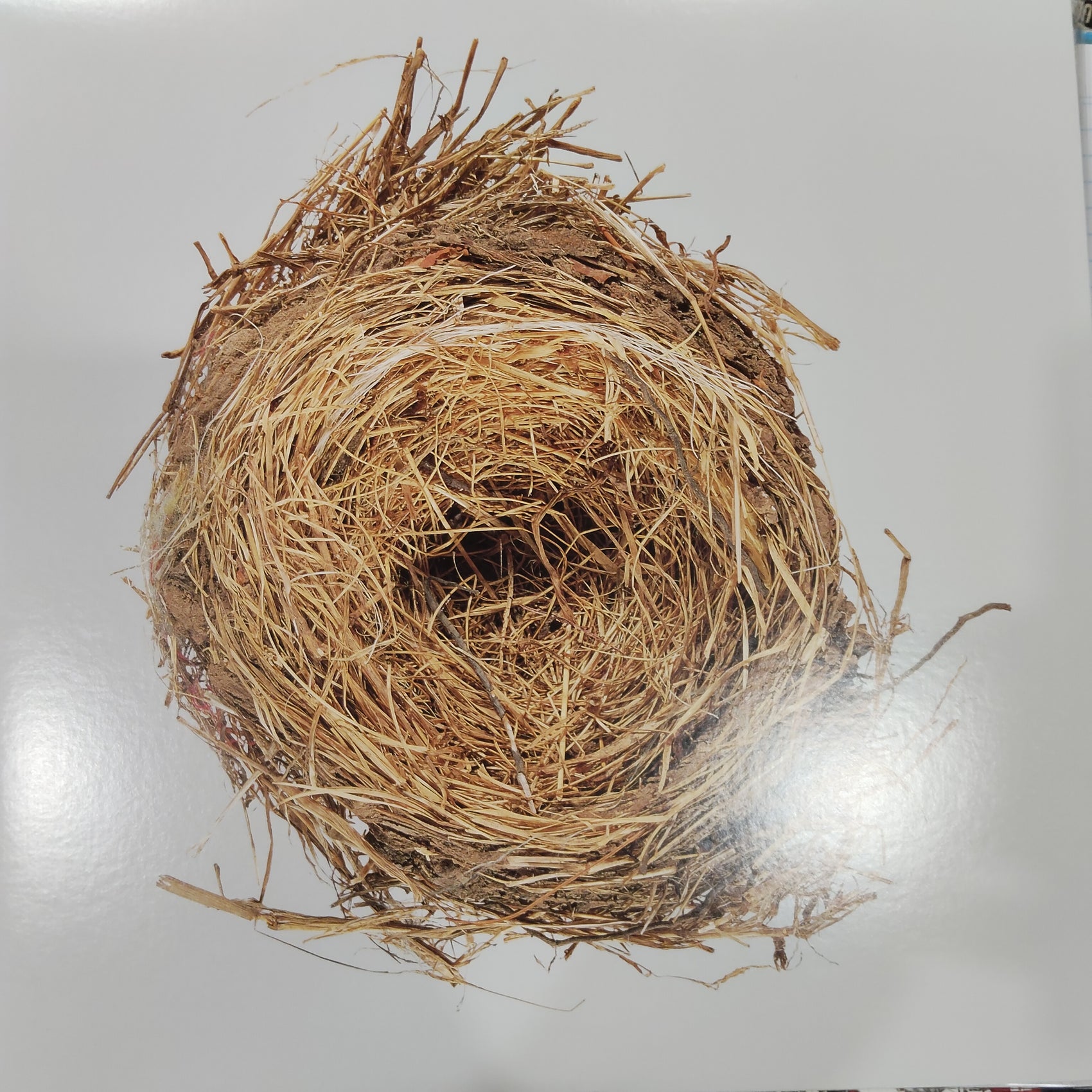 WILCO - A GHOST IS BORN (USED VINYL U.S. 2LP M- M-)