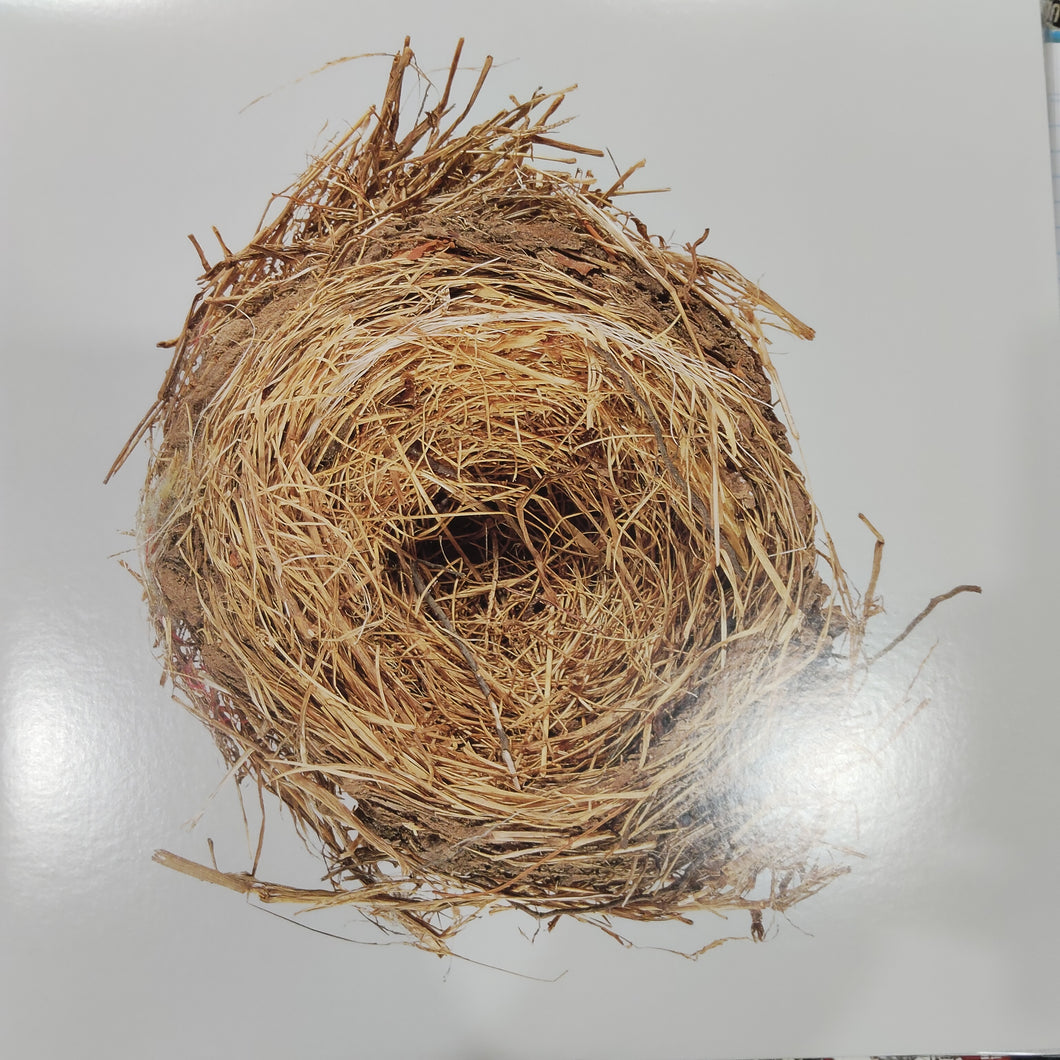 WILCO - A GHOST IS BORN (USED VINYL U.S. 2LP M- M-)