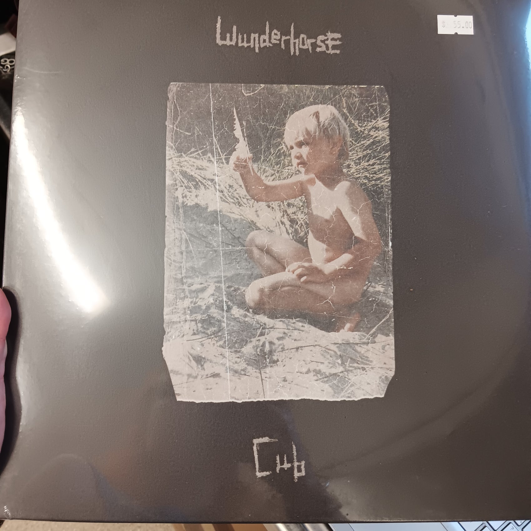 WUNDERHORSE - CUB VINYL