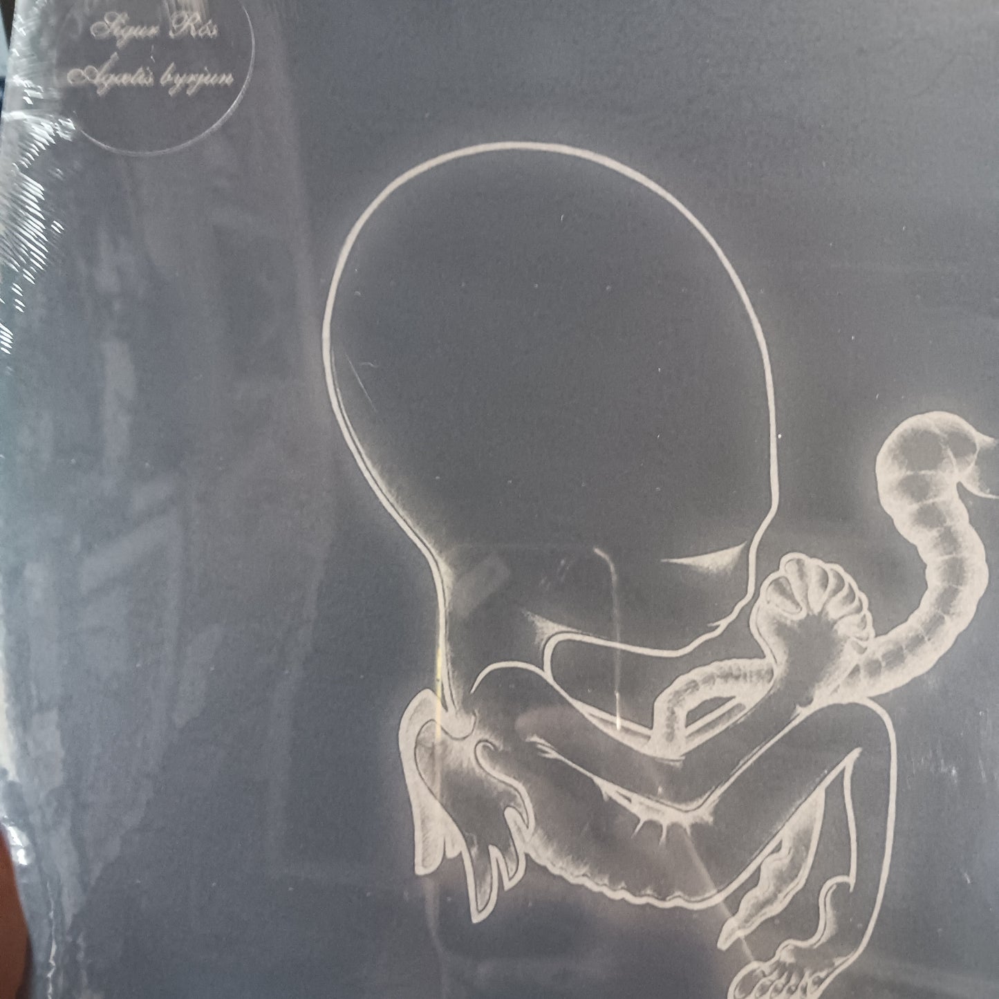 SIGUR ROS - AGAETIS BYRJUN  (2LP)