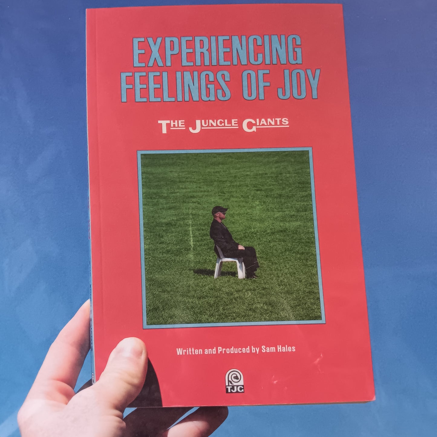 JUNGLE GIANTS - EXPERIENCING FEELINGS OF JOY VINYL