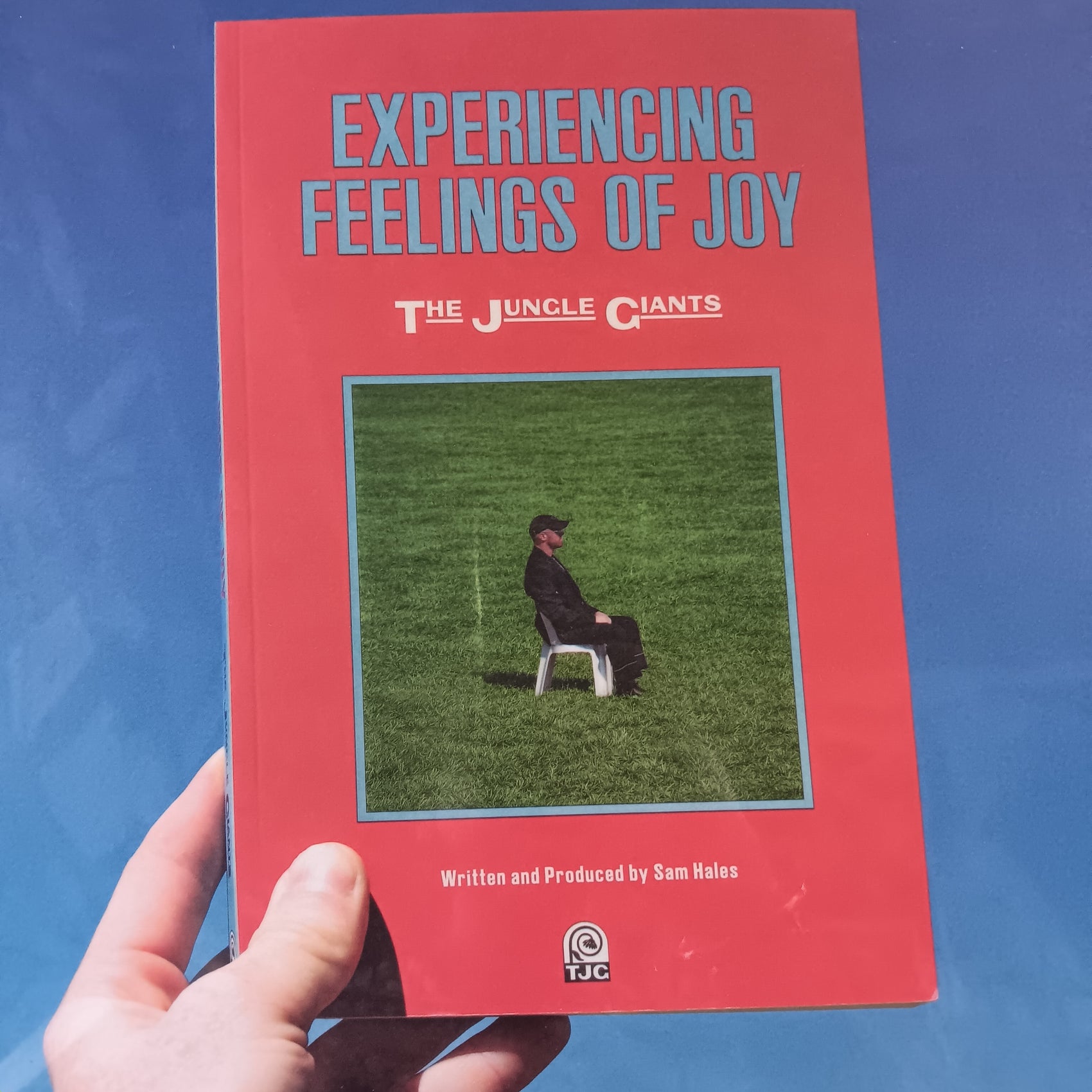 JUNGLE GIANTS - EXPERIENCING FEELINGS OF JOY VINYL