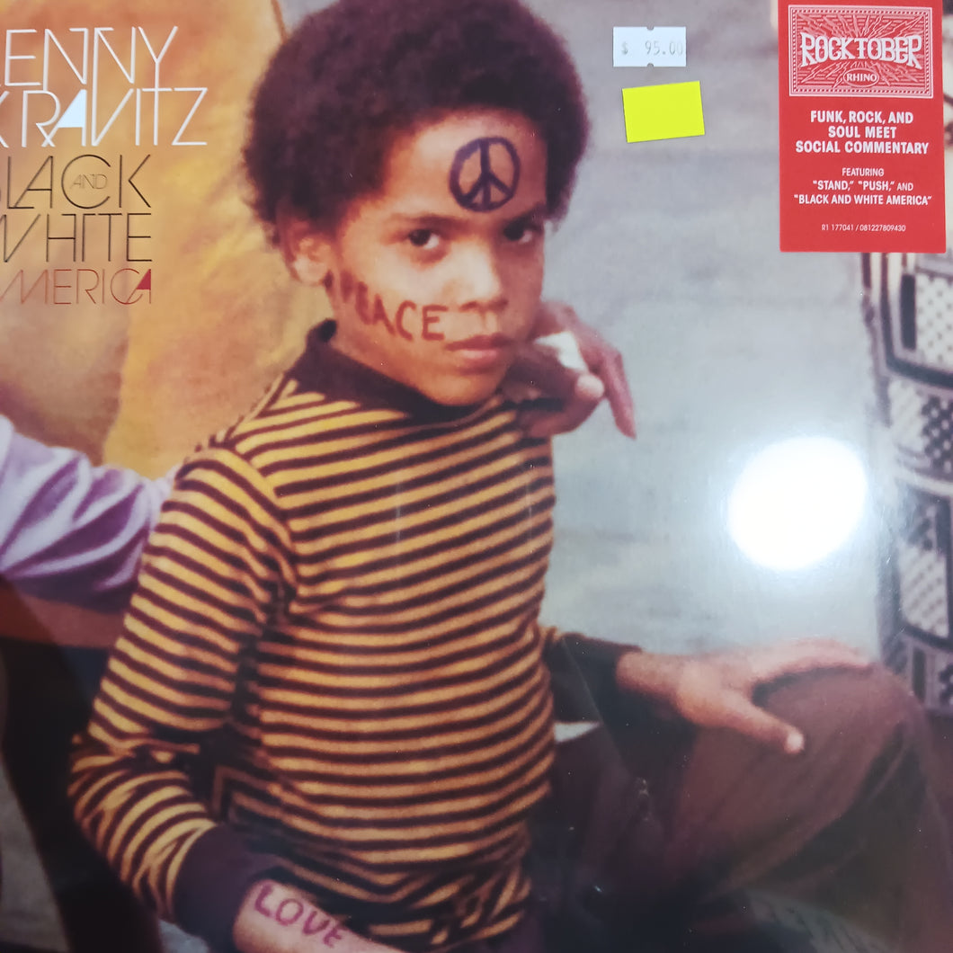 LENNY KRAVITZ - BLACK AND WHITE AMERICA (2LP) VINYL