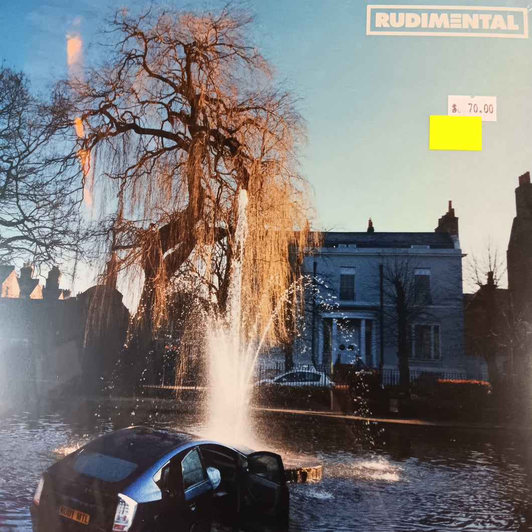 RUDIMENTAL - SELF TITLED VINYL