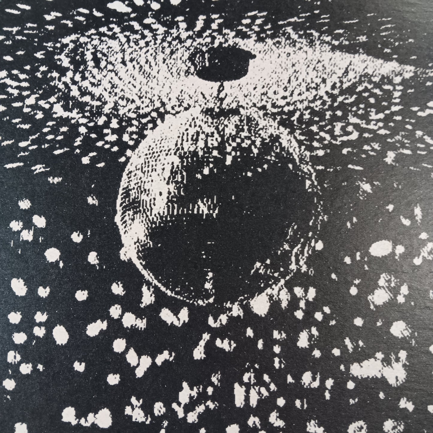 NEIL YOUNG- MIRROR BALL (2LP) (USED VINYL 1995 US M-/EX+)
