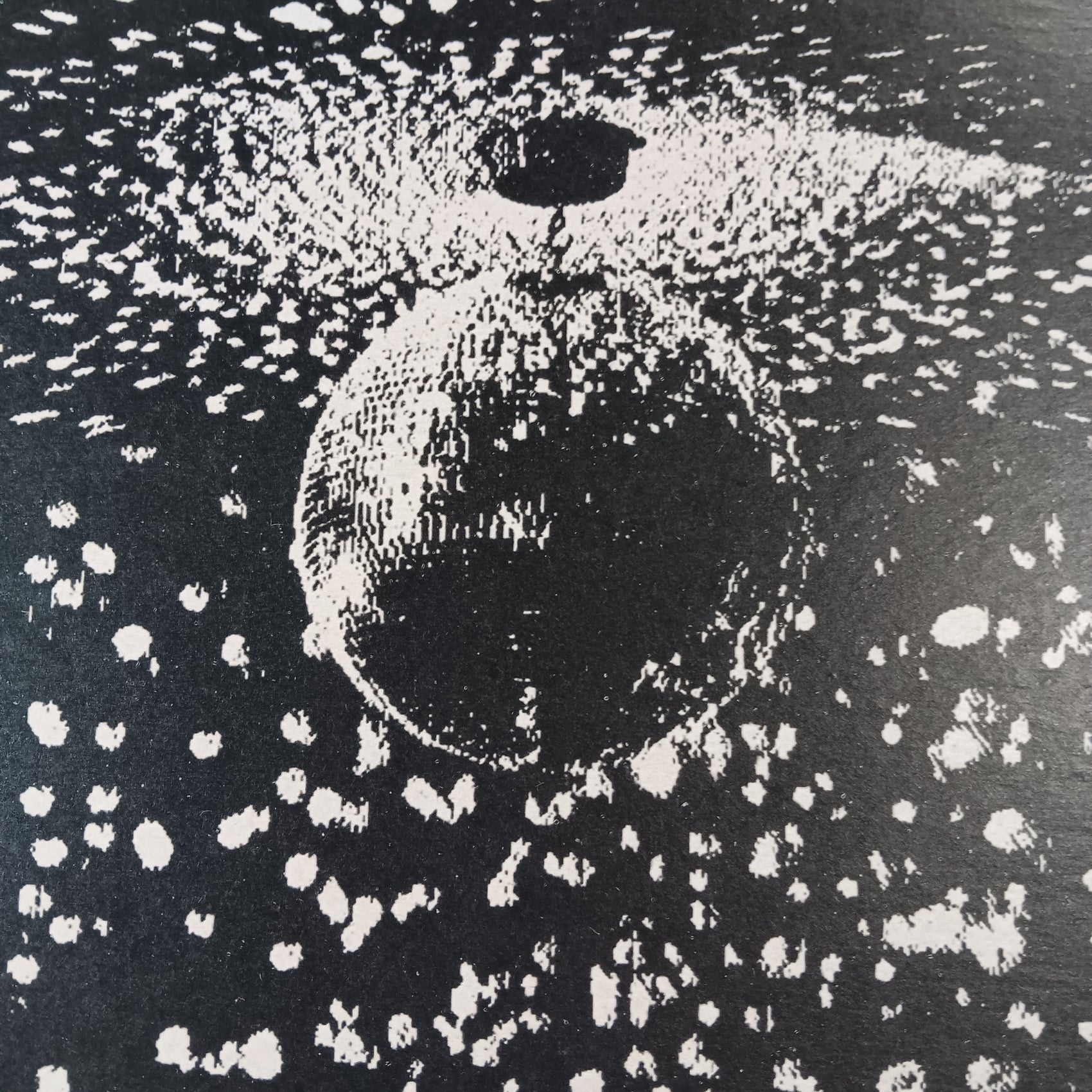 NEIL YOUNG- MIRROR BALL (2LP) (USED VINYL 1995 US M-/EX+)