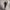 CYNTHIA ERIVO - I FORGIVE YOU (2LP) VINYL