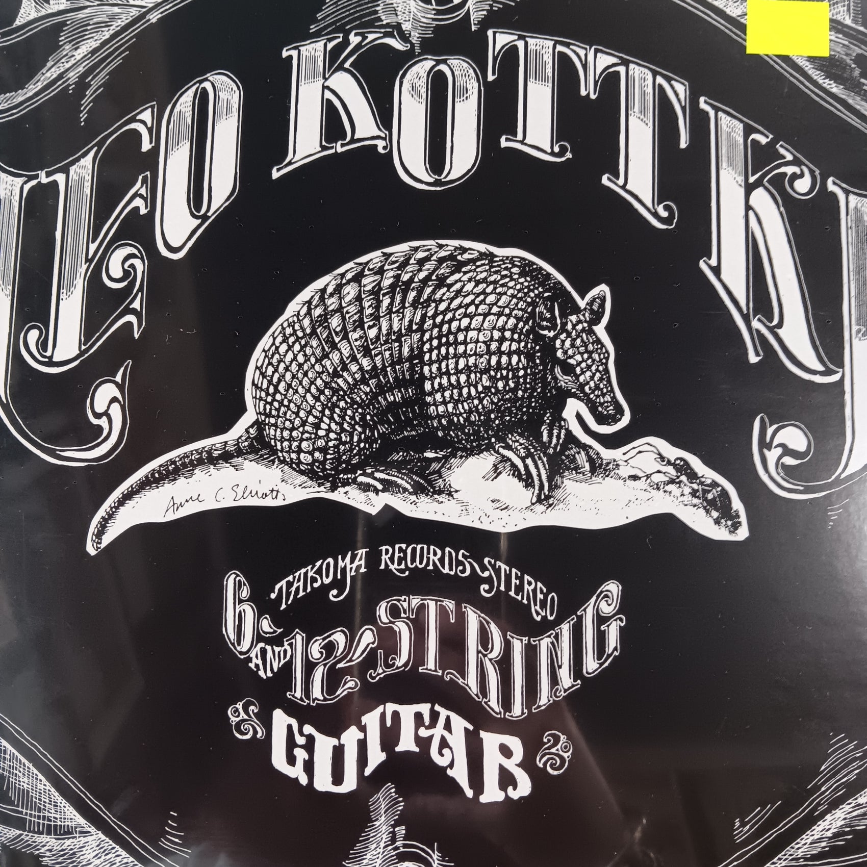 LEO KOTTKE - 6 AND 12 STRING GUITAR VINYL
