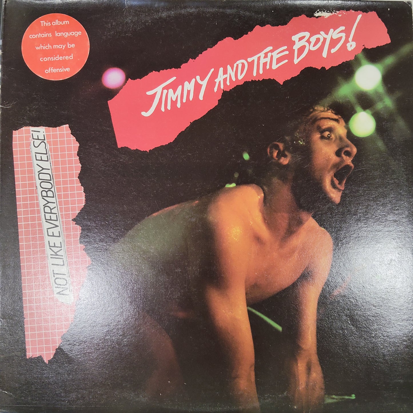 JIMMY AND THE BOYS - NOT LIKE EVERYBODY ELSE (USED VINYL 1979 AUS COLOURED M- EX)
