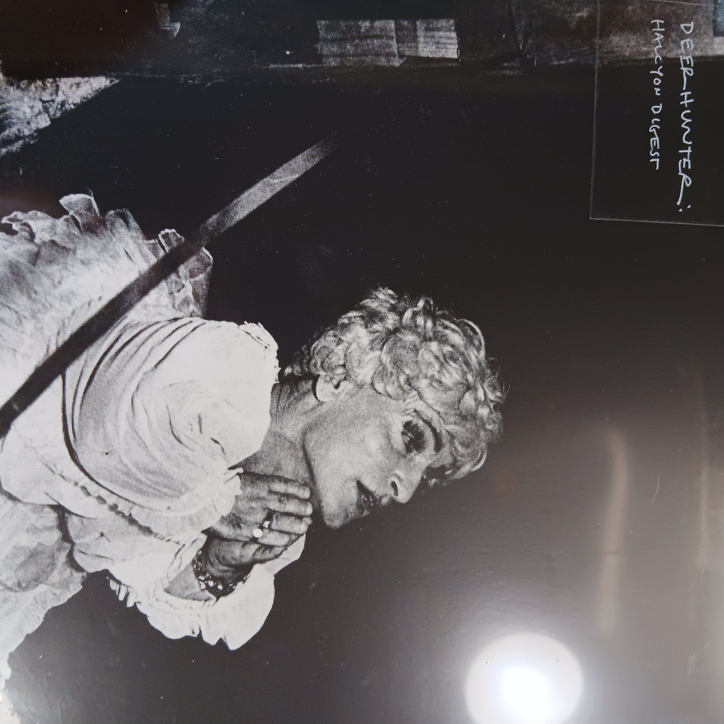 DEERHUNTER - HAYCLON DIGEST VINYL